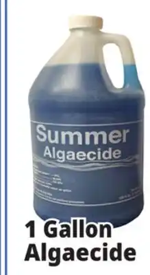 Ocean State Job Lot Summer Algaecide 1 Gal offer