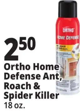 Ocean State Job Lot Ortho Home Defense Ant Roach & Spider Killer 18 oz offer