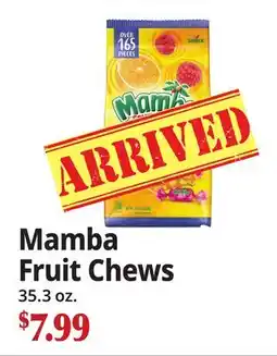 Ocean State Job Lot Mamba Fruit Chews offer