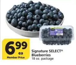 Albertsons Signature SELECT Blueberries offer
