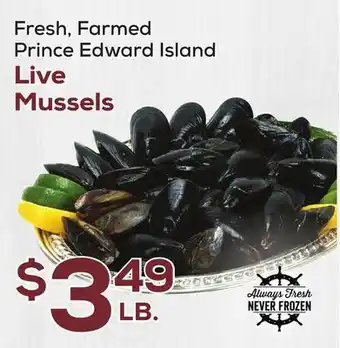 DeCicco & Sons Live Mussels offer