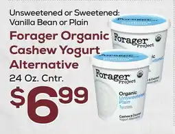 DeCicco & Sons Forager Organic Cashew Yogurt Alternative offer