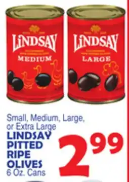 Bravo Supermarkets LINDSAY PITTED RIPE OLIVES offer