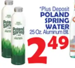 Bravo Supermarkets POLAND SPRING WATER offer