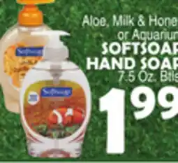 Bravo Supermarkets SOFTSOAP HAND SOAP offer