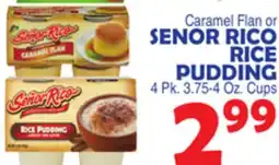 Bravo Supermarkets SENOR RICO RICE PUDDING offer