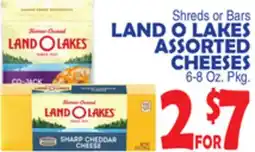 Bravo Supermarkets LAND O LAKES ASSORTED CHEESES offer
