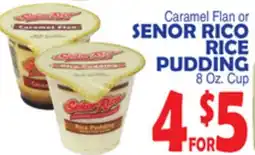 Bravo Supermarkets Caramel Flan or Senor Rico Rice Pudding offer