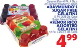 Bravo Supermarkets RAYMUNDO'S SUGAR FREE GELATINS , SEÑOR RICO ASSORTED GELATINS offer