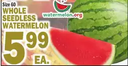 Bravo Supermarkets WHOLE SEEDLESS WATERMELON offer