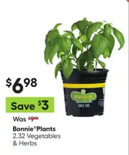 Lowe's Plants offer