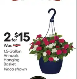Lowe's 1.5-Gallon Annuals Hanging Basket offer