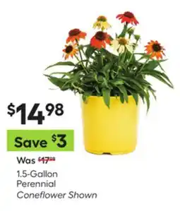 Lowe's 1.5-Gallon Perennial offer