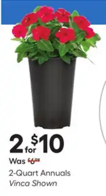 Lowe's 2-Quart Annuals Vinca Shown offer