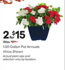 Lowe's 1.00-Gallon Pot Annuals offer
