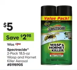 Lowe's 2-Pack 18.5-oz Wasp and Hornet Killer Aerosol offer
