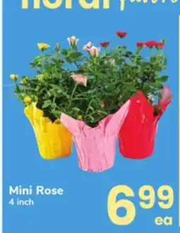 ACME Mini Rose offer