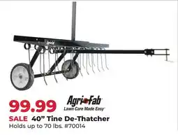 Runnings Agri-Fab 40 Tine De-Thatcher offer