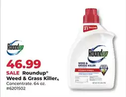 Runnings Roundup Weed & Grass Killer4 offer