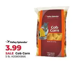 Runnings Valley Splendor Cob Corn offer