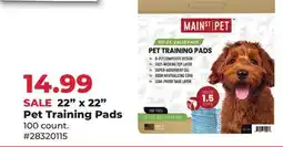 Runnings MAIN ST PET 22 x 22 Pet Training Pads offer