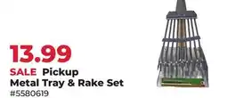 Runnings Pickup Metal Tray & Rake Set offer