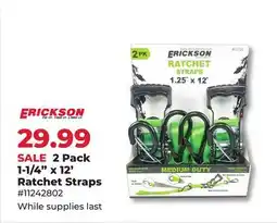 Runnings ERICKSON 2 Pack 1-1/4 x 12' Ratchet Straps offer