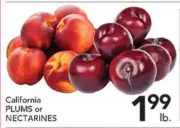 Pete's Fresh Market California PLUMS or NECTARINES offer