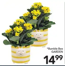 Pete's Fresh Market Bumble Bee GARDEN offer