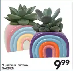 Pete's Fresh Market Luminous Rainbow GARDEN offer