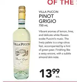 Pete's Fresh Market VILLA PUCCIN PINOT GRIGIO offer