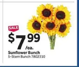 Stop&Shop Sunflower Bunch offer