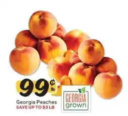 Winn Dixie Georgia Peaches offer