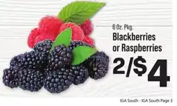 IGA Blackberries or Raspberries offer