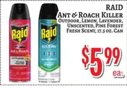 Trade Fair Supermarket RAID ANT & ROACH KILLER OUTDOOR offer