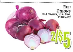 Trade Fair Supermarket RED ONIONS offer