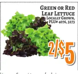 Trade Fair Supermarket GREEN OR RED LEAF LETTUCE offer