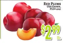 Trade Fair Supermarket RED PLUMS offer