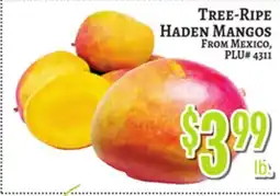 Trade Fair Supermarket TREE-RIPE HADEN MANGOS offer