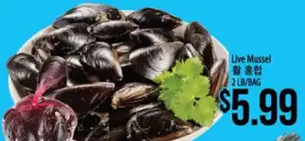 Hmart Live Mussel offer