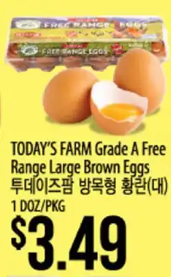 Hmart TODAY'S FARM Grade A Free Range Large Brown Eggs offer