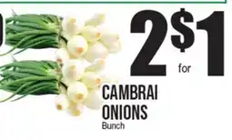 Extra Supermarket CAMBRAI ONIONS offer