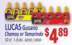 Jetro LUCAS Gusano offer