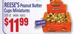 Jetro REESE'S Peanut Butter Cups Miniatures offer
