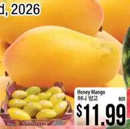 Hmart Honey Mango offer