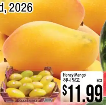 Hmart Honey Mango offer