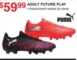 Dunham's Sports PUMA ADULT FUTURE PLAY offer