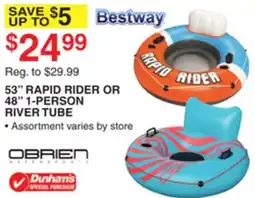 Dunham's Sports BESTWAY 53 RAPID RIDER OR 48 1-PERSON RIVER TUBE offer