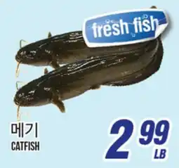 Joong Boo Market CATFISH offer