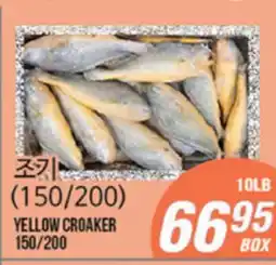 Joong Boo Market YELLOW CROAKER offer